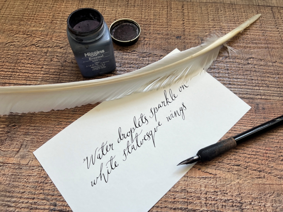 View: Modern Calligraphy Taster 